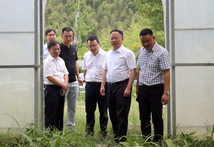 浙江中医药政协委员会客厅成员到衢州调研