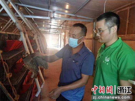 朱波(右一)指导鹧鸪养殖 学校供图